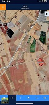 Burdur Kemer Elmacık Köyünde.5900.metrekare Arazi