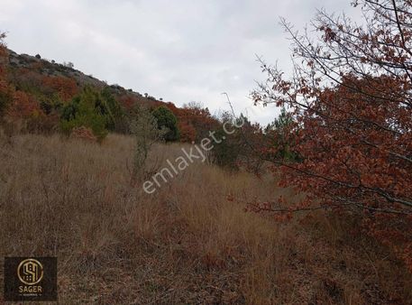 Keles Belenören Mahallesi'nde 2.075 M2 Satılık Tarla