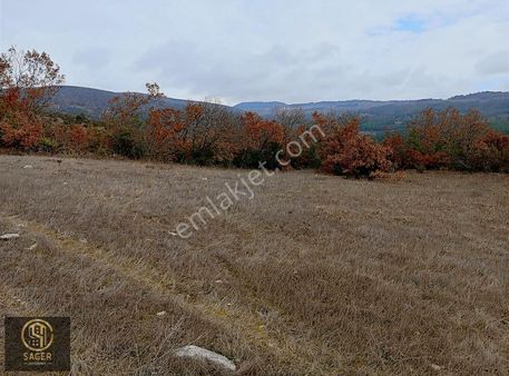 Sager Gayrimenkul'den Keles Belenören'de 5.544 M2 Satılık Tarla