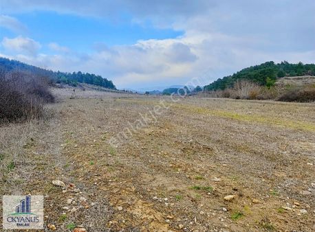 Avdal Da 4.625 M2 Tarla , Manzaralı