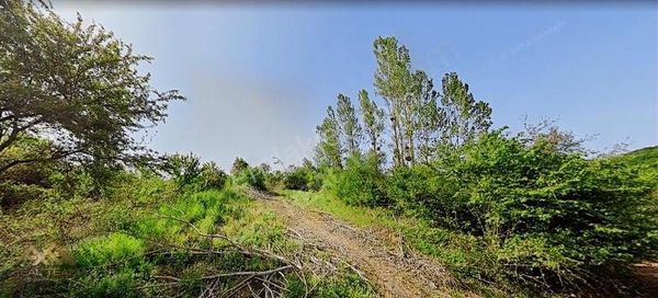 Derince Karagöllü'de %35 İmarlı Arsa