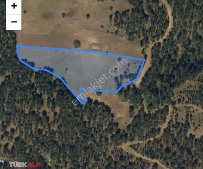 Denizlinin En Gözde Yerinde Aydınlarda Fırsat Tarla