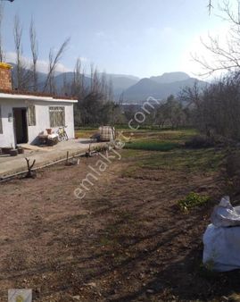 Sarıcakaya İğdir Mahallesinde Satılık Bağ