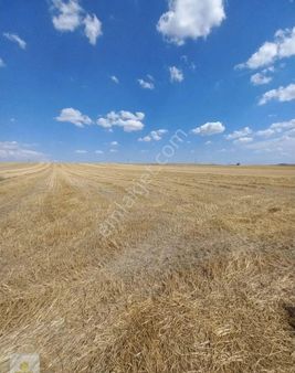 Batıkent Mahallesinde Yatırımlık Satılık Tarla