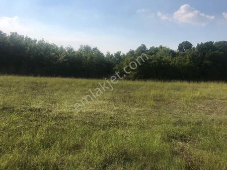 Köyceğiz Toparlar Mah. Satılık 12093 M2 Tarla