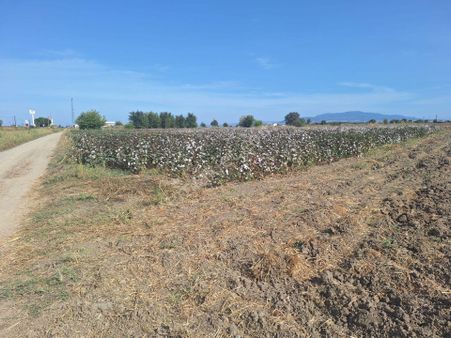 Manisa Akhisar Yoluna 200 Metre Cepheli Parseller