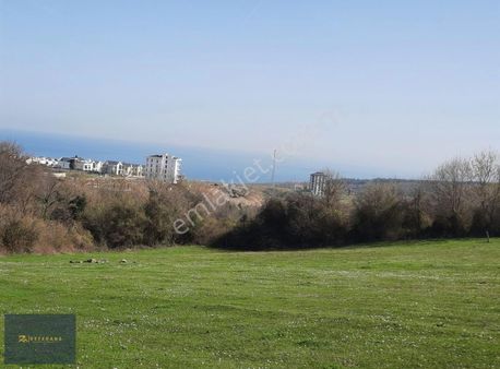 Atakum İncesu'da Full Deniz Manzaralı Villa Arsası