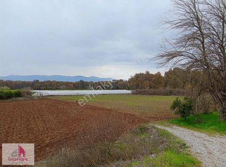 Yetkili Ofis - 6.5 Dönüm Domates Serası - Üstelik İmarlı