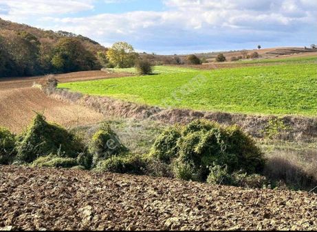 Kocaeli Kandıra Ömerli Yatırıma Ugun Satılık Verimli Tarla