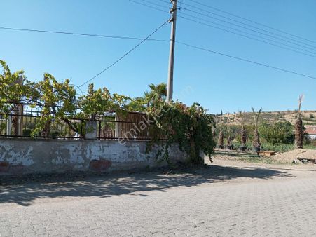 Manisa/turgutlu Nurcan Emlak’dan Çepni Bektaş Mh.de Asvalt Kenarı 11,930 M² Satılık Arazi