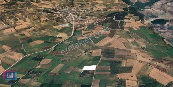 Satılık Kadastro Yoluna Cephe Tarla Bursa Yenişehir Kavaklı