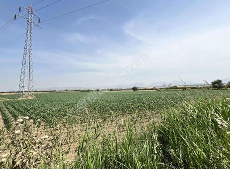 Manisa/turgutlu Nurcan Emlak’dan 7, Mıntıka 28.000 M² Satılık Boş Arazi