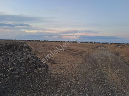 Drs Gayrimenkul'den Fırsat Tarla