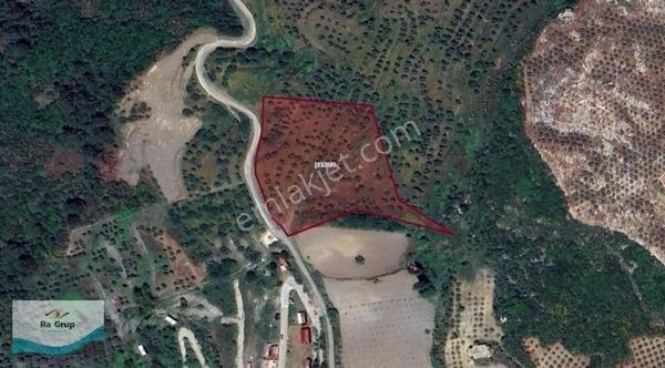 Kuşadası Milli Park Sisam Adası Ve Deniz Manzaralı 9424 M2 Arazi