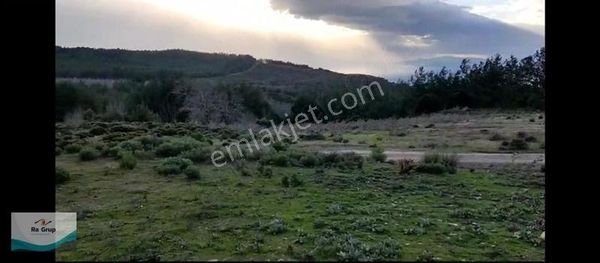 Kuşadası'nda Deniz Ve Orman Manzaralı 32597m2 Arazi