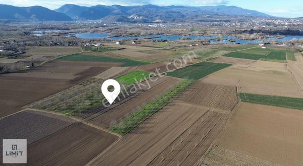 Arifiye Mollaköy'de Satılık Arazi!