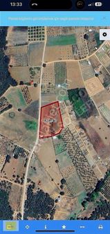 Aydın Söyler Gayrimenkul'den Kestel Kayacık Mah Kupon Tarla