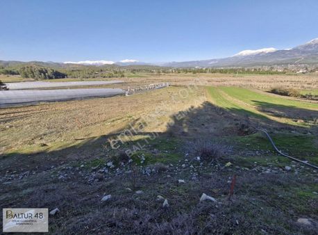 Seydikemer Çobanlarda Müstakil Tapulu 8293 M² Arazi