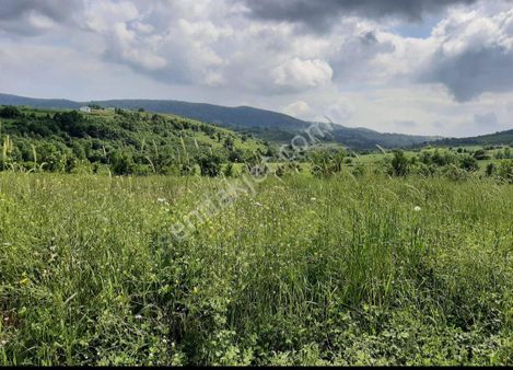 Kocaeli Kandıra Akçakese Satılık %5 İmarlı Tarla Yatırıma Uygun