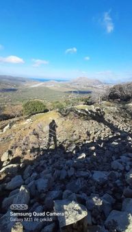 Merkeze Yakın Zeytinli Köyde Deniz Manzaralı Zeytinlik