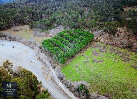 Havran'da Satılık Tarla