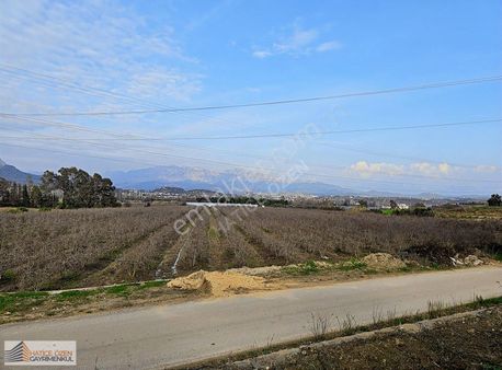 Aksu-karaöz'de Satılık 32.000m2 Nar Bahçesi