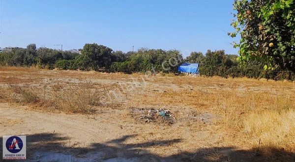 Köy İmarlı Kupon Yatırımlık Tarla