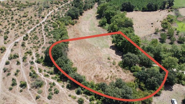 Balıkesir Gönen Hacıvelioba Köyümüz'de Dereye Cephe Tarlamız Satışa Sunulmuştur