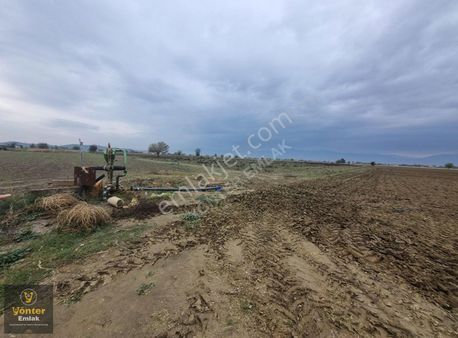 Yönter Emlaktan Akkoyunlu Ovasında 20.234 M² Tarla