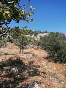 Sehıtkamıl Ucgoze Yatırımlık 9 Donum Arazı