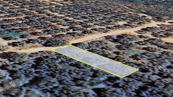 Kentmax Emlak Dan Satılık Zeytinlik