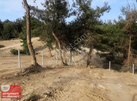 Pegasus'tan Adana Çukurova Salbaşta Satlık Arsa