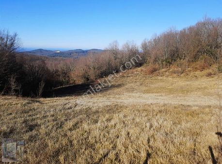 Yatırımlık Şahane Fırsat