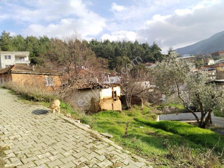 Turgutlu Satılık Tarla Çatal Köprü Mah Niteliği Zeytinlik 105m2 Yola Sıfır Manzarası Güzel