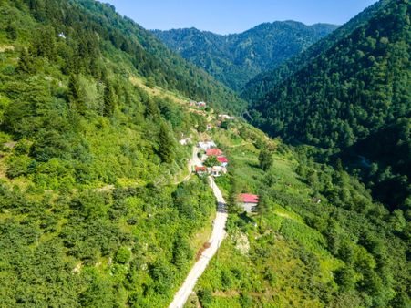 Yemyeşil Doğasıyla Giresun'da 1.299m² Köyiçi İmarlı Uygun Fiyata