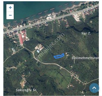 Fatsa Bolaman Mah. Güvercinlik Mevkiinde Deniz Manzaralı Satılık Fındık Bahçesi