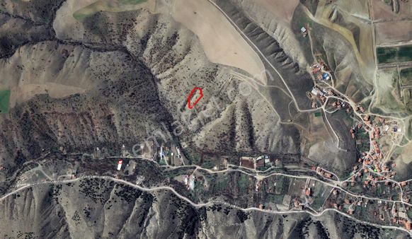 Lotus Tan Mamak Kusunlar Da Yatırımlık Arsa