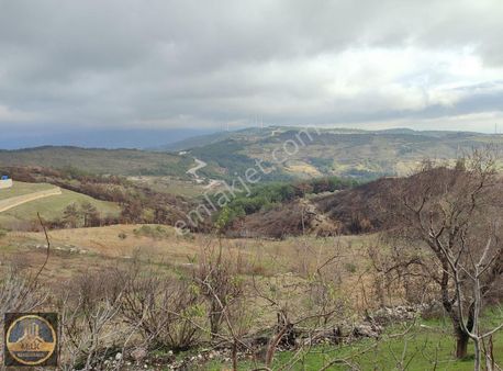 İzmir Sarnıç'ta Satılık 2858 M2 Arazi İçinde 3 Katlı Müstakil Ev