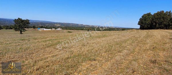 Çiftlik Yakınında Tek Tapu 20 Dönüm Arazi