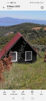 Mudanya Fuul Deniz Manzaralı Zeytinlik