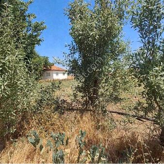 Çivril Denizli Menteş De 1.200 M2 Köy İmarlı Müstakil Tapu