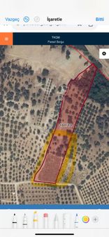 Saiplerde Köşe Parsel/üzüm Bağı Ve Zeytinlik