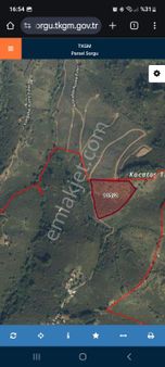 Nesrin Emlak'tan Köy Yoluna Cephe Fındıklık