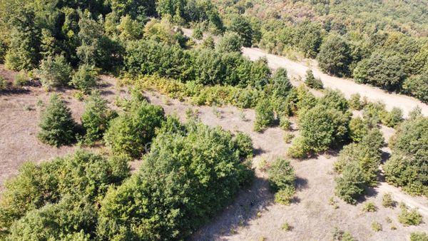 Bursa Mustafakemalpaşa Kösehoroz 8.492 M2 Arazi