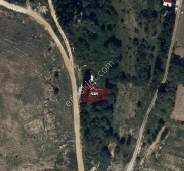 Ardulia'dan Karapazar Mah. Elektrik, Su Ve Yolu Bulunan 220m2 Tarla