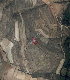 Ardulia'dan Karapazar Mah. 1175 M2 Satılık Tarla