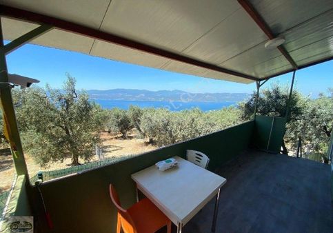 Bandırma Edincikte Satilik Zeytinlik