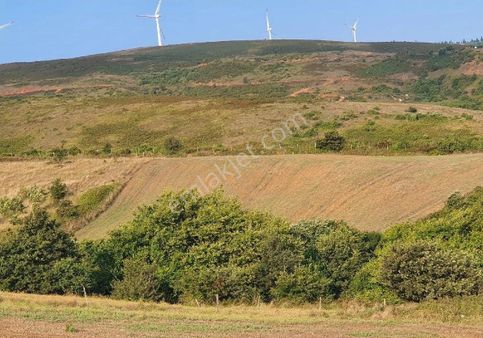 Bandırma Eriklide Emsallerinin Altinda Fiyata Tarla