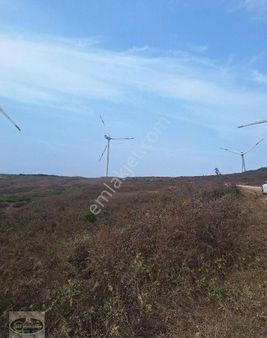 Bandırma Eriklide Satılık Tarla