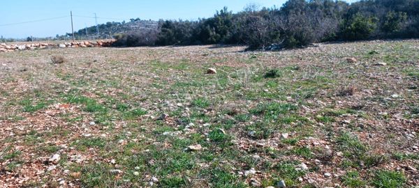 Silifke Çadırlı Satılık Tarla